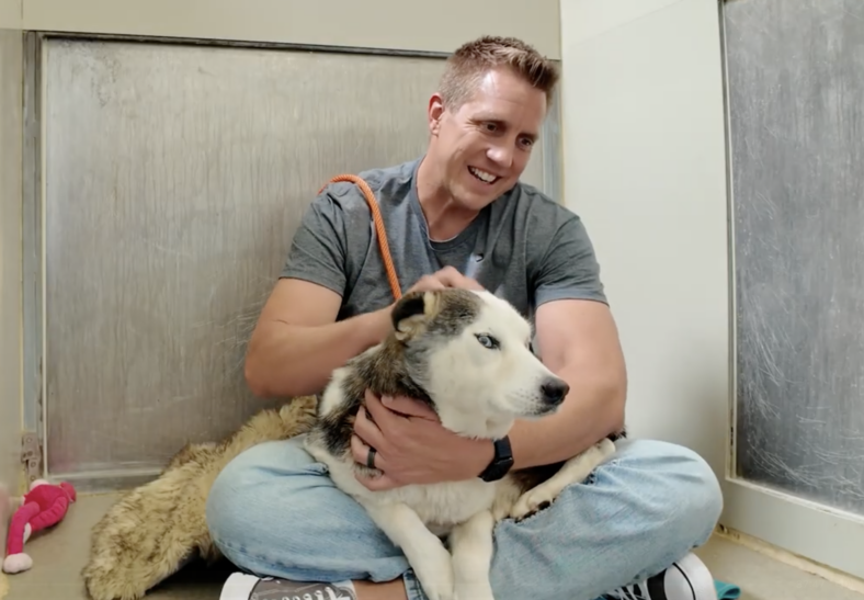 Faith: A Dog's Journey from Trauma to Trust